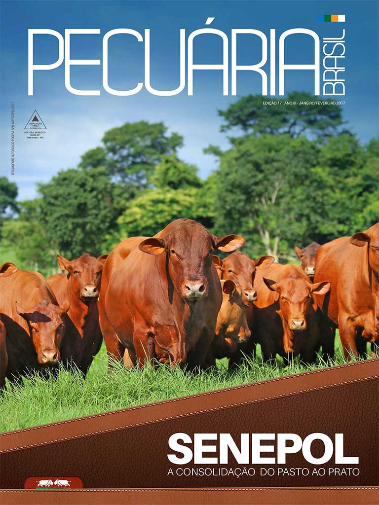 Pecuária Brasil #12 by Revista Pecuária Brasil - Issuu