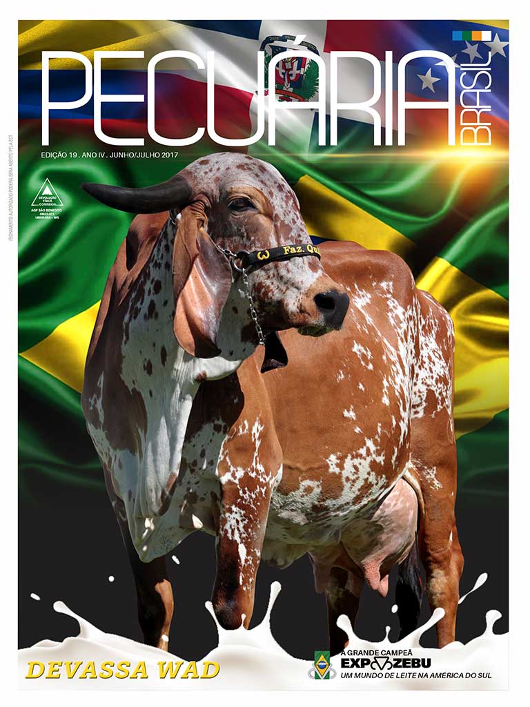 Pecuária Brasil #12 by Revista Pecuária Brasil - Issuu